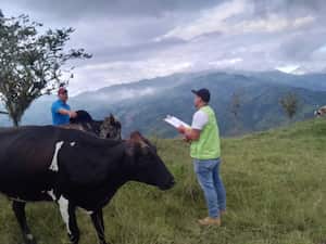Personal del ICA visita los predios ubicados en las zonas del riesgo por el volcán Nevado del Ruiz.