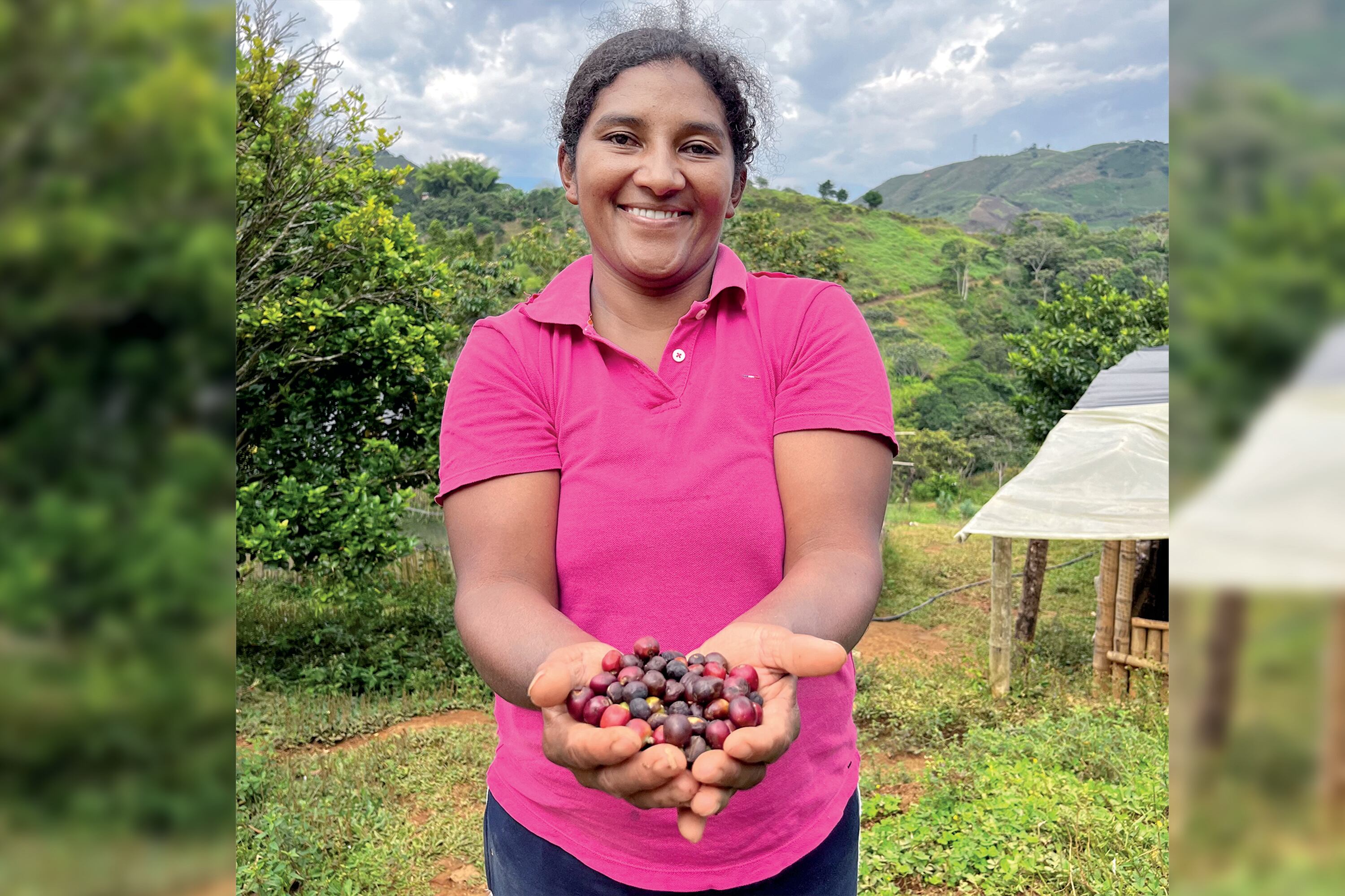Desde el lanzamiento Paissana, en abril de este año, se han vendido 14.4 millones de dólares.