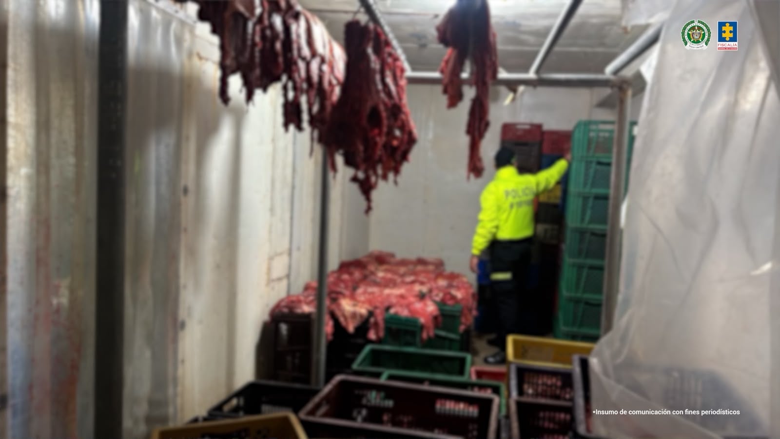 Red criminal inundó de carne de caballo establecimientos en Bucaramanga. La Fiscalía la desarticuló.