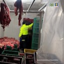 Red criminal inundó de carne de caballo establecimientos en Bucaramanga. La Fiscalía la desarticuló.
