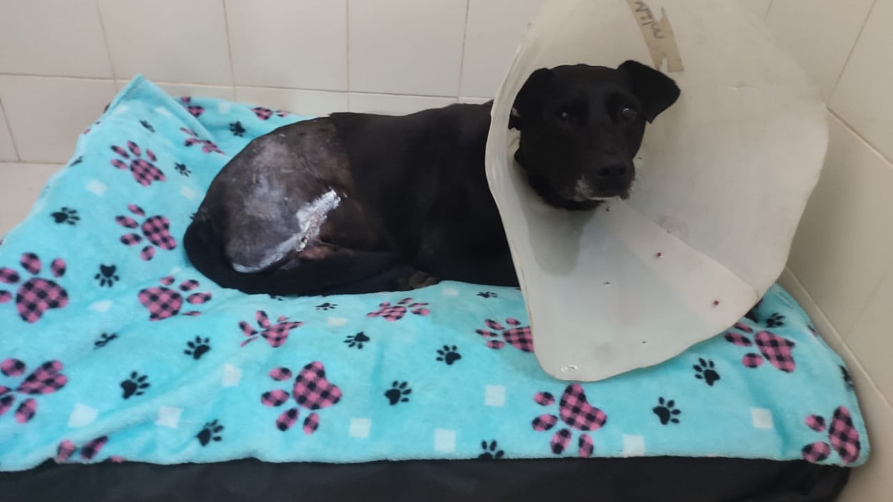 Aporte Mireya Velasco