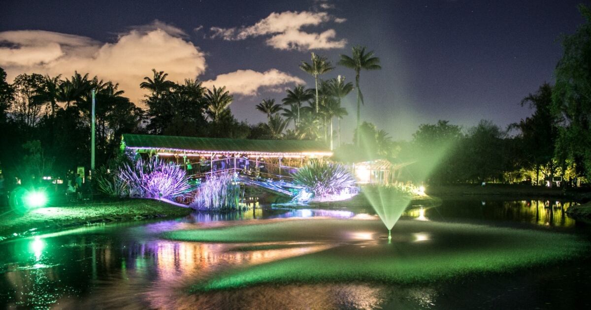 Las personas podrán participar en estos recorridos desde las 5:30p.m hasta las 8:00p.m. con inscripción previa en la página web. Foto: Jardín Botánico de Bogotá