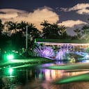 Las personas podrán participar en estos recorridos desde las 5:30p.m hasta las 8:00p.m. con inscripción previa en la página web. Foto: Jardín Botánico de Bogotá