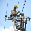 30 kilómetros de cable ecológico serán instalados por Emcali durante el transcurso de este año.