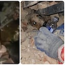 Un bebé y un perro fueron encontrados entre los escombros