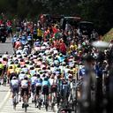 Pelotón en La Vuelta a España 2024.