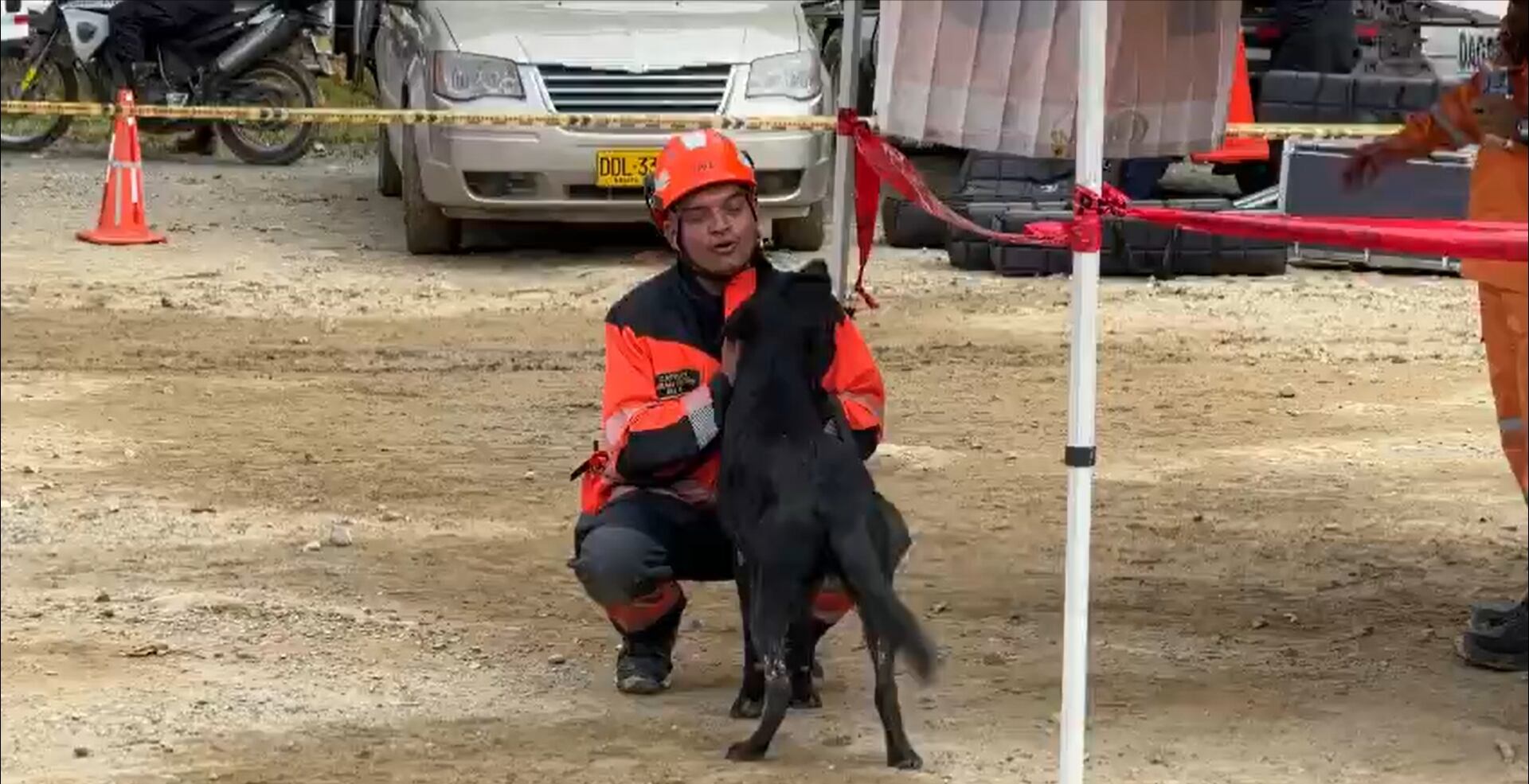 El perro fue rescatado de debajo de las latas de un vehículo que terminó aplastado.