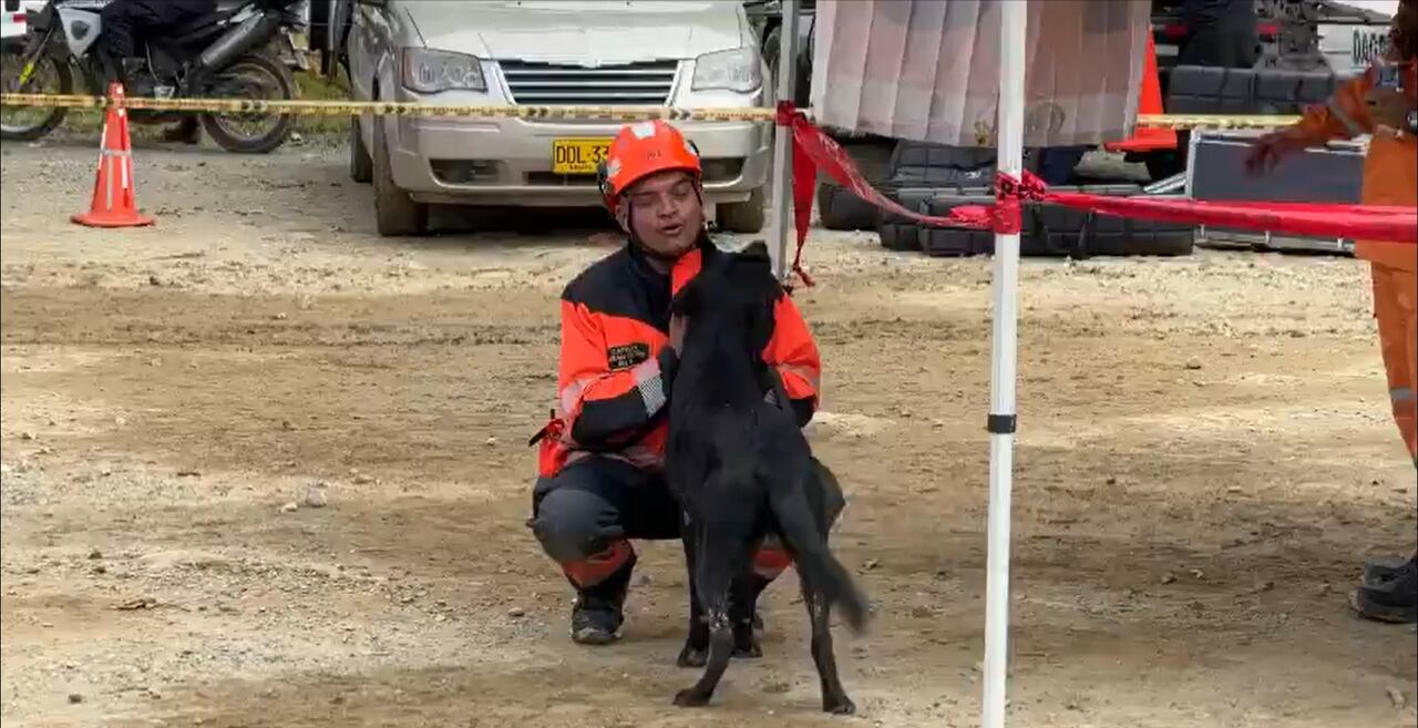 El perro fue rescatado de debajo de las latas de un vehículo que terminó aplastado.