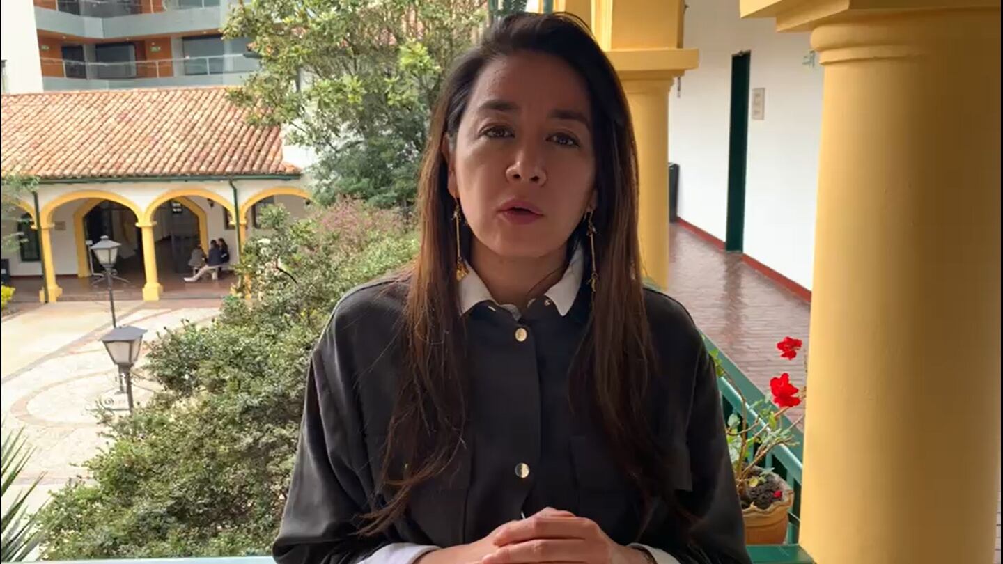 Diana Diago afirmó que se debía fortalecer las entidades de control.