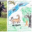 Wilson, el perro que ayudó a encontrar a los cuatro niños perdidos en la selva del Guaviare.