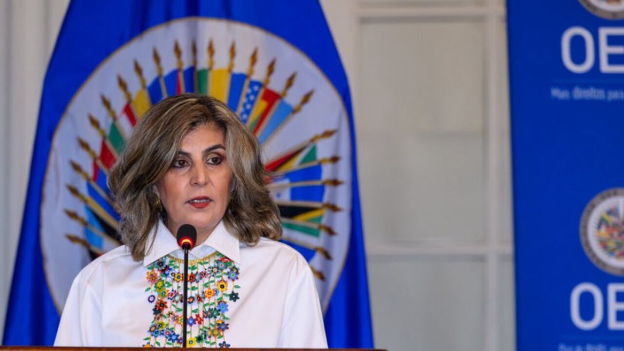 Laura Gil, secretaria general adjunta de la OEA.