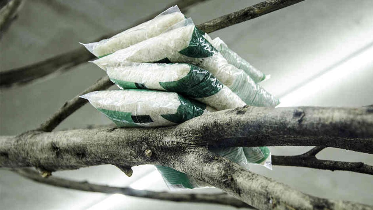 'Nosotros (quién soporta a quién)'. Caucho sabanero, aro de hierro y bolsadas de arroz. Iñaki Chávarri.