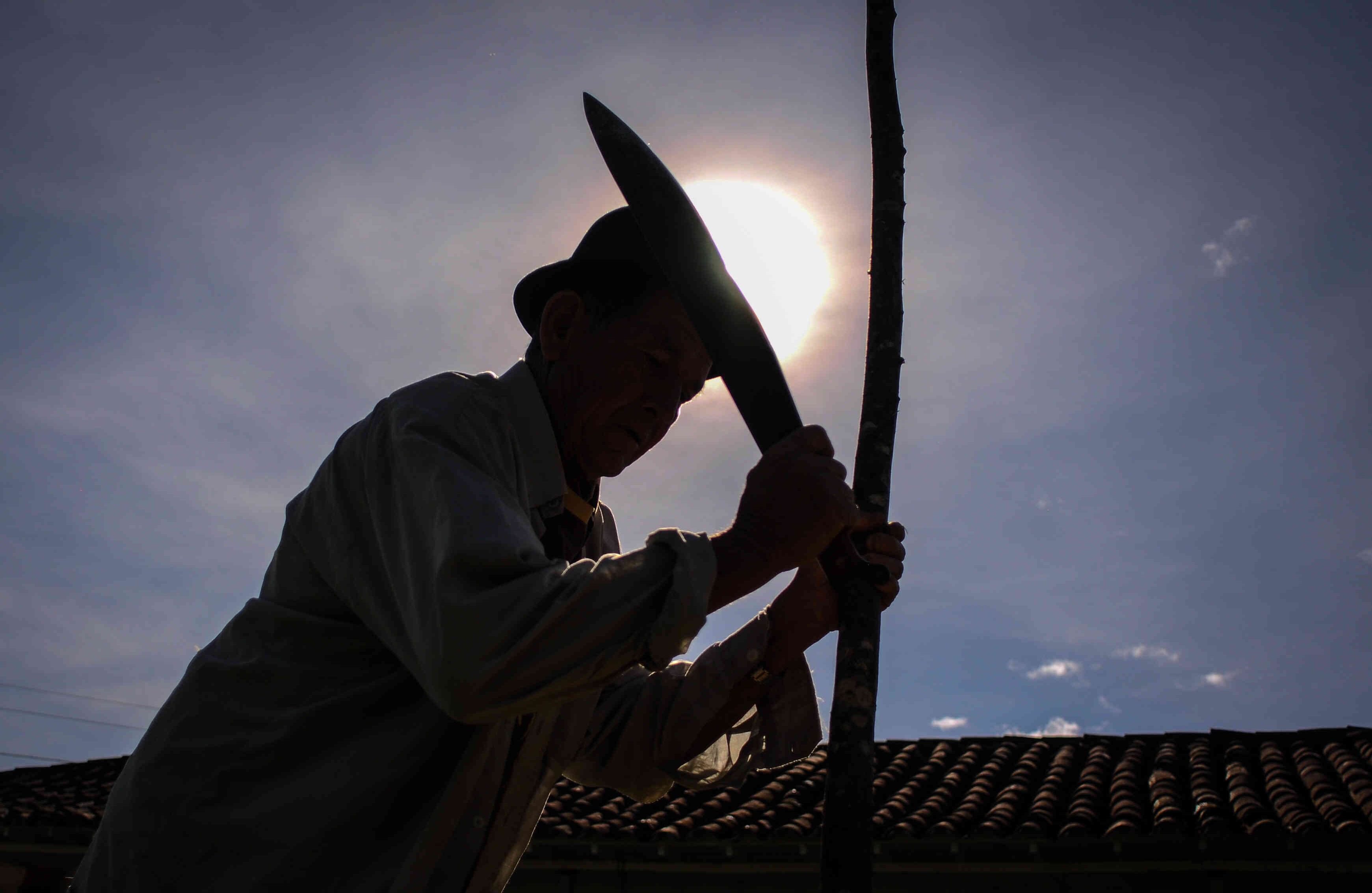 La población rural alcanza un total de 11,5 millones de colombianos. Antioquia es el departamento con más población rural: tiene 1,4 millones de habitantes, seguido por Nariño con 895.397, de acuerdo con el Ministerio de Agricultura y Desarrollo Rural. 