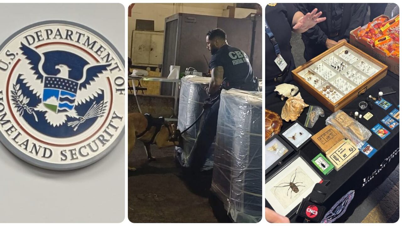 Estados Unidos maneja un reconocido equipo que se especializa en identificar e incautar material ilegal en las fronteras marítimas