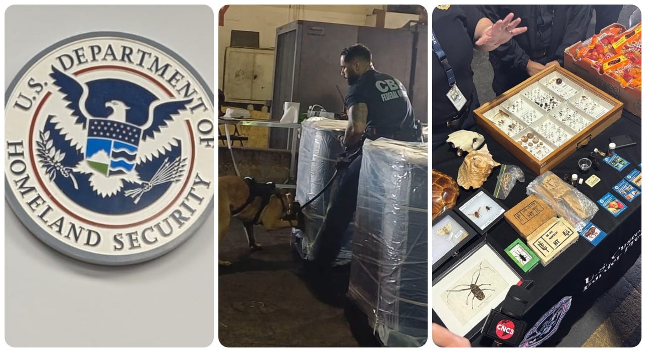 Estados Unidos maneja un reconocido equipo que se especializa en identificar e incautar material ilegal en las fronteras marítimas