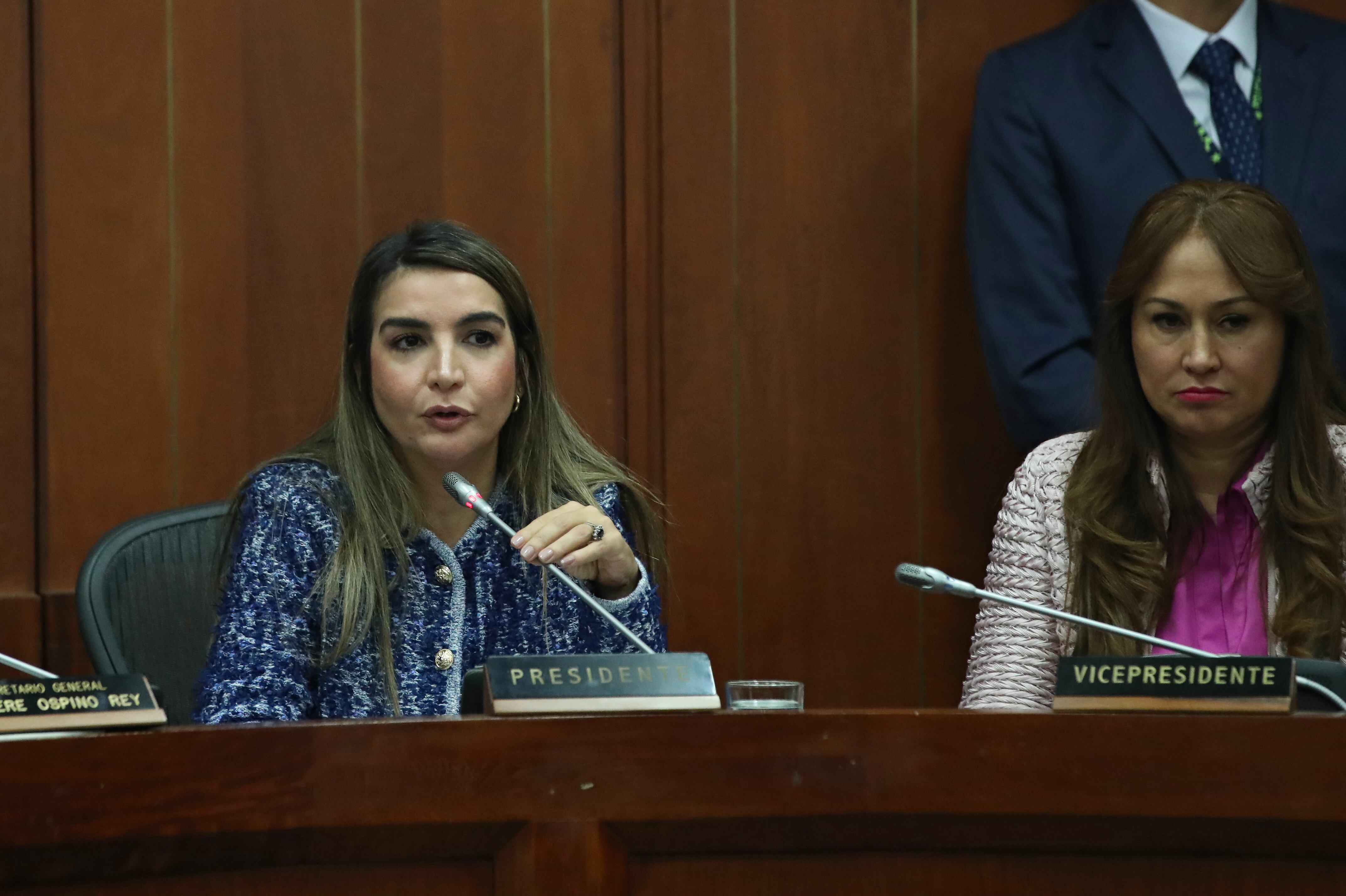 Nadia Georgette Blel Scaff senadora 
Comisión Séptima del Senado hundio la reforma laboral en tercer debate
Bogota marzo 18 del 2025
Foto Guillermo Torres Reina - SEMANA
