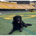Tony Camacho, la mascota del Estadio El Campín