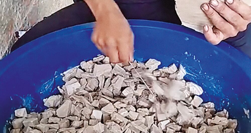 Guerra: niños raspachines  _4