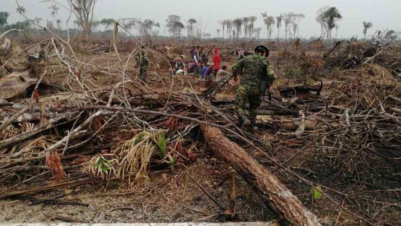 Once personas fueron capturadas en Vistahermosa (Meta) por deforestar cerca de 80 hectáreas de bosque nativo y selvático. Foto: Fuerza Tarea Conjunta Omega
