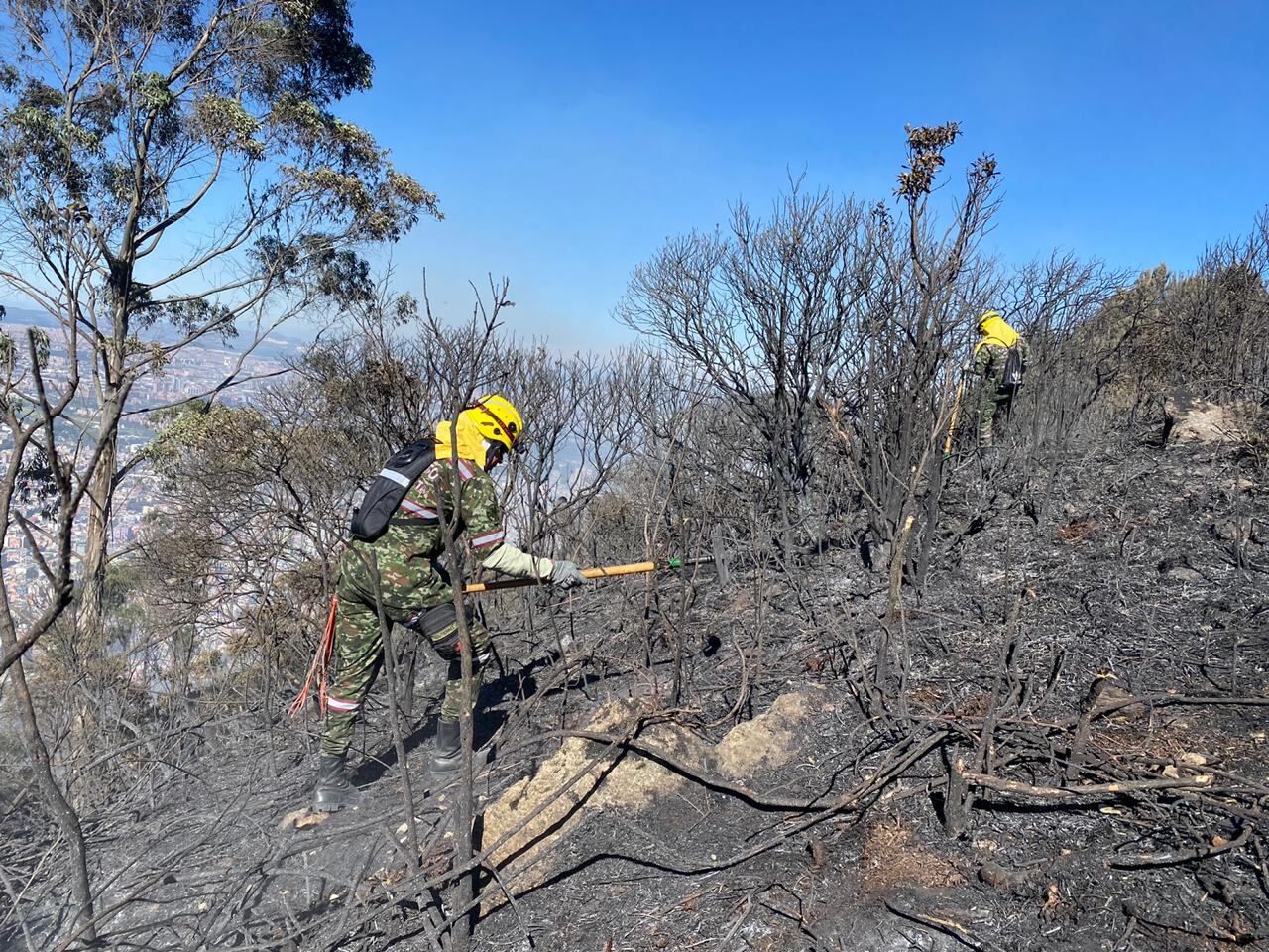 Incendio forestal en los cerros orientales  en Bogotá