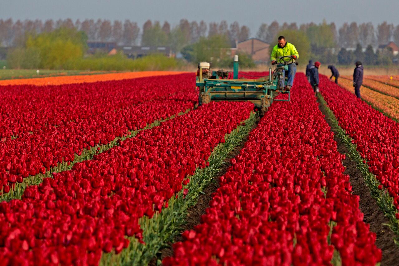 Fotos de la semana mayo 7