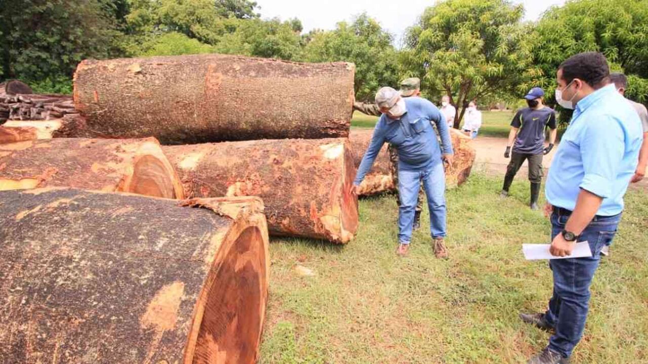 Funcionarios de Corpocesar y miembros de la Décima Brigada Blindada y del Batallón La Popa, realizaron un operativo conjunto en el que incautaron alrededor de 50 metros cúbicos de madera. Foto: Corpocesar