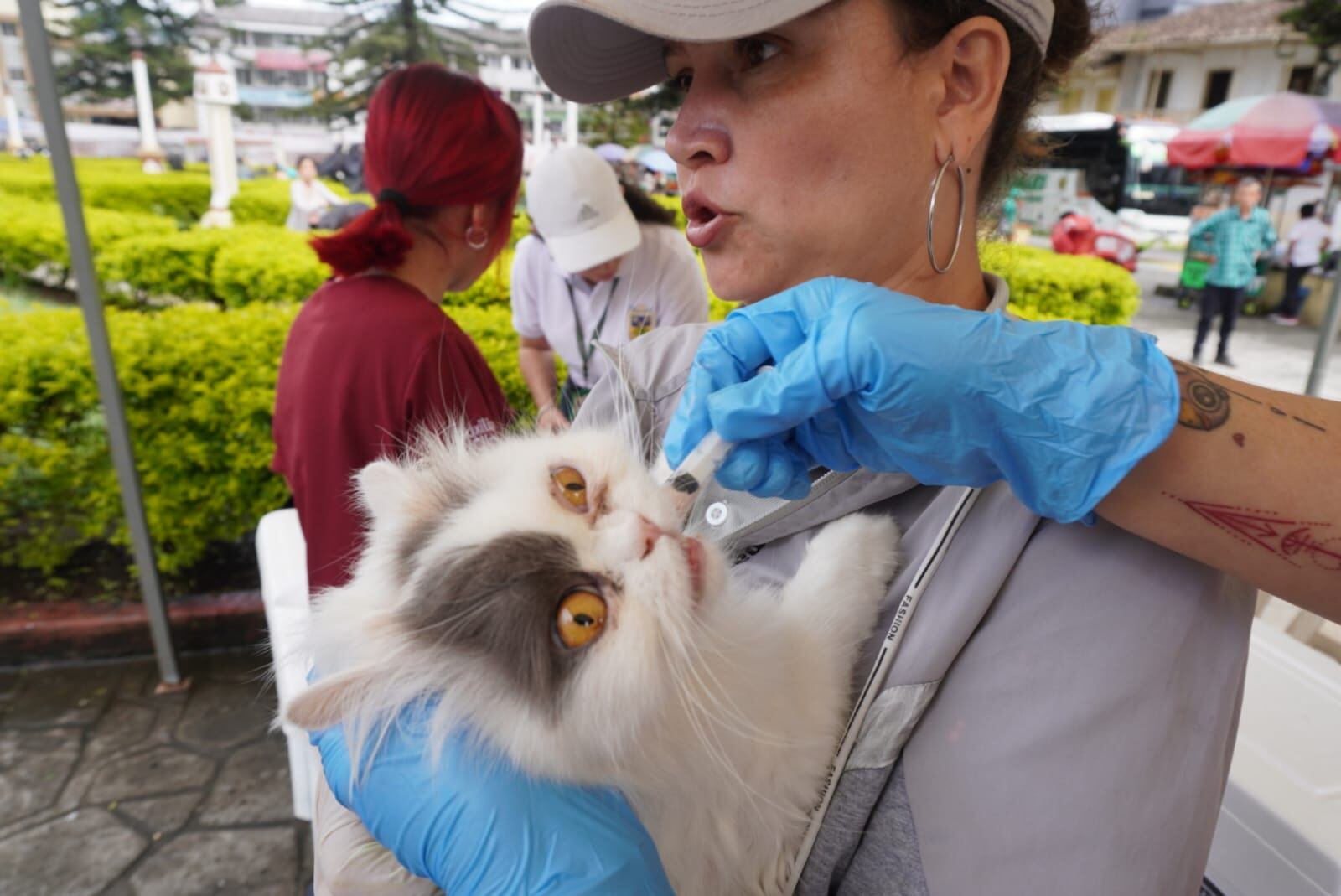 Hasta el momento han recibido la vacuna 10.000 mascotas