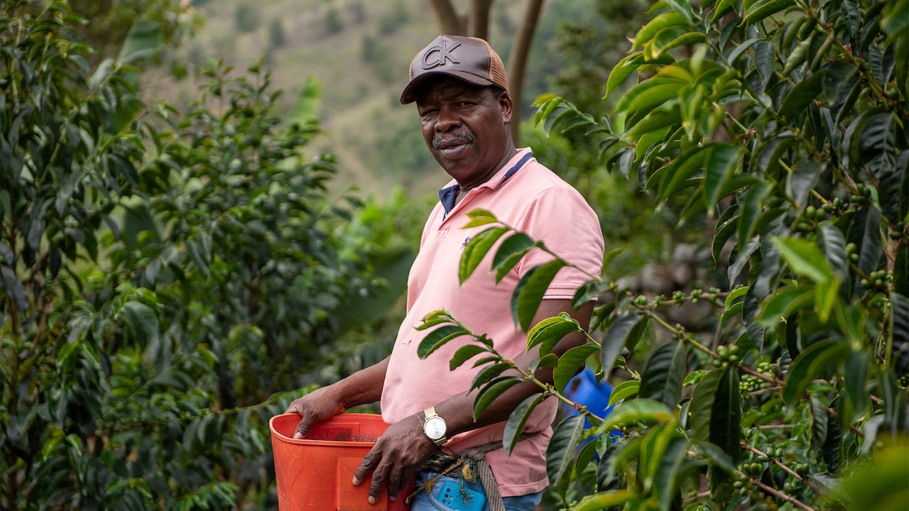 El café de Domingo Torres ha llegado hasta China. También a Corea del Sur, Taiwán y Estados Unidos.