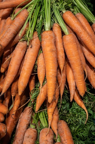La zanahoria ayuda a mejorar la actividad cerebral, ya que puede aliviar el cansancio mental y mejorar el rendimiento. Así mismo, mejora la piel dándole brillo, tersura, flexibilidad y firmeza. (Photo by Silas Stein/picture alliance via Getty Images)
