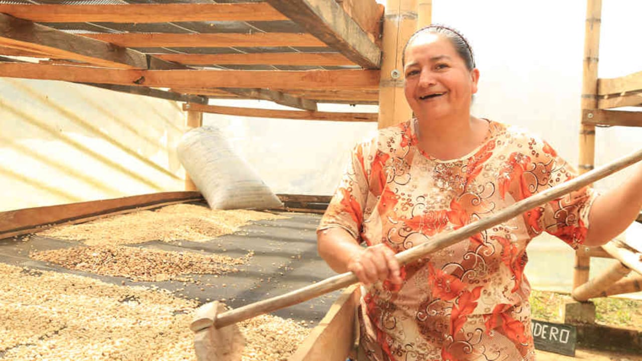 Durante 35 años, Mundo Mujer ha otorgado microcréditos a los colombianos: 30 años como Fundación y 5 años como Banco.