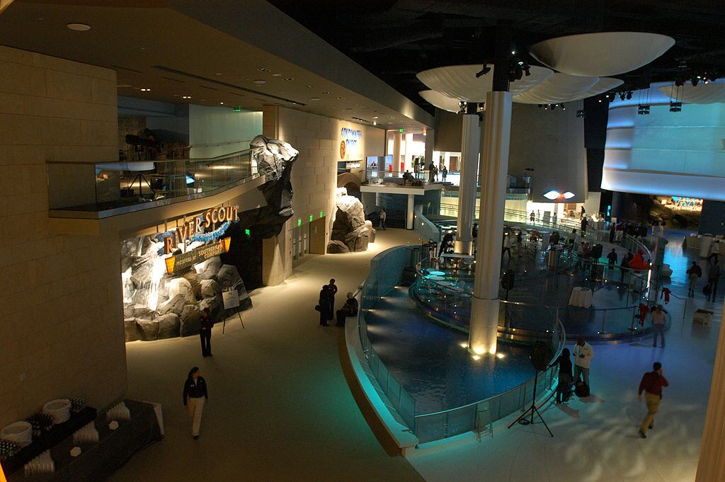 ATLANTA - NOVEMBER 19:  Visitors walk in the atrium of the Georgia Aquarium Saturday November 19,2005 in Atlanta, Goergia. The Georgia Aquarium, the world's largest by gallons, 8 million plus, and by the number of fish, 100,000 plus, opens to the public November 23, 2005. Funding for the Georgia Aquarium was made possible by a 200 million dollar gift from The Home Depot co-founder Bernie Marcus and his wife Billi through the Marcus Foundation.  (Photo by Barry Williams/Getty Images)