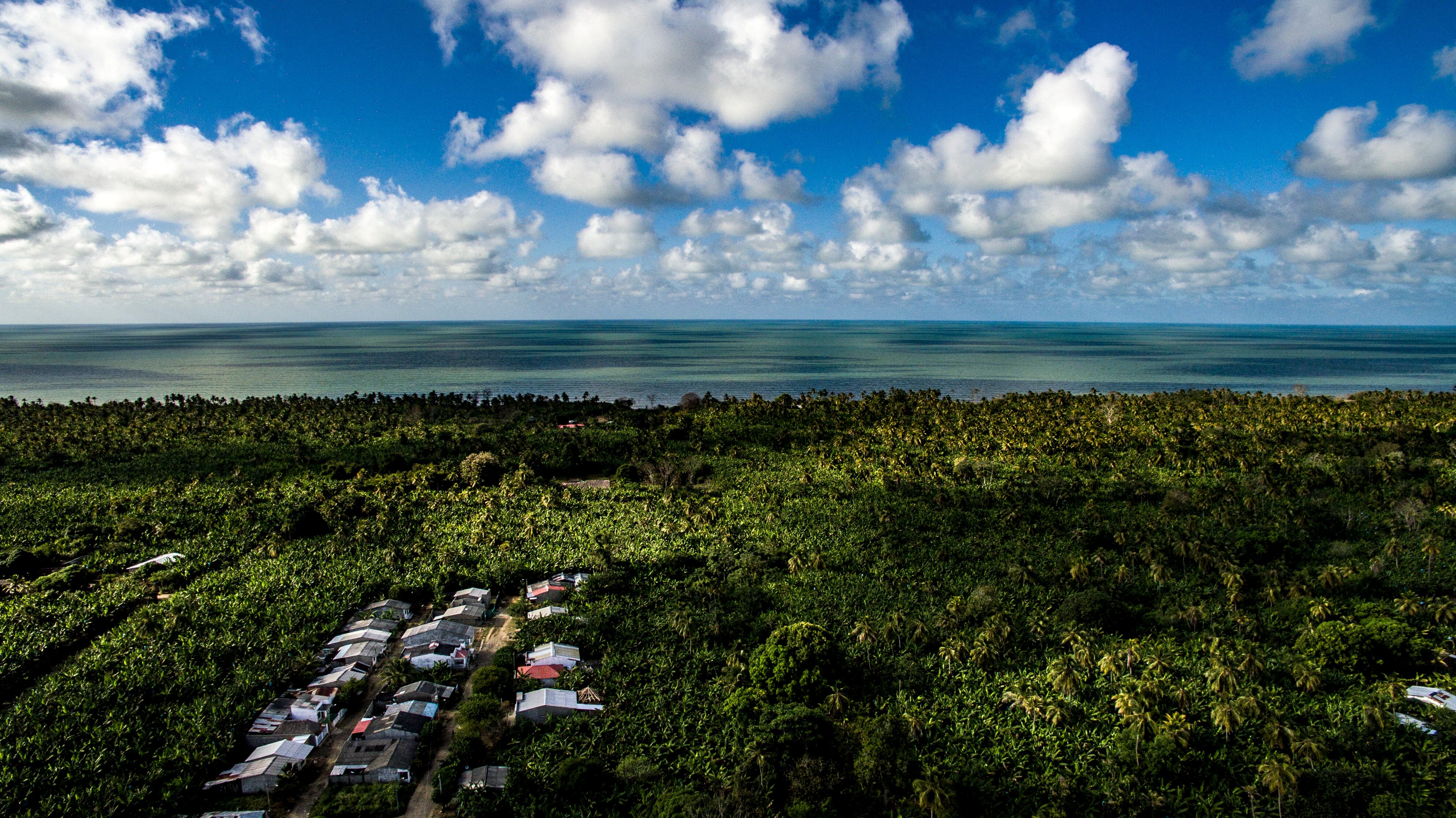 Sus 22 kilómetros de playa y los siete patrimonios naturales con los que cuenta lo están consolidando como un atractivo destino turístico del Urabá antioqueño.