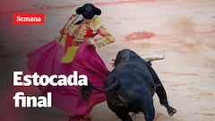 Urgente: Se acaban las corridas de toros en Colombia, Congreso las prohíbe