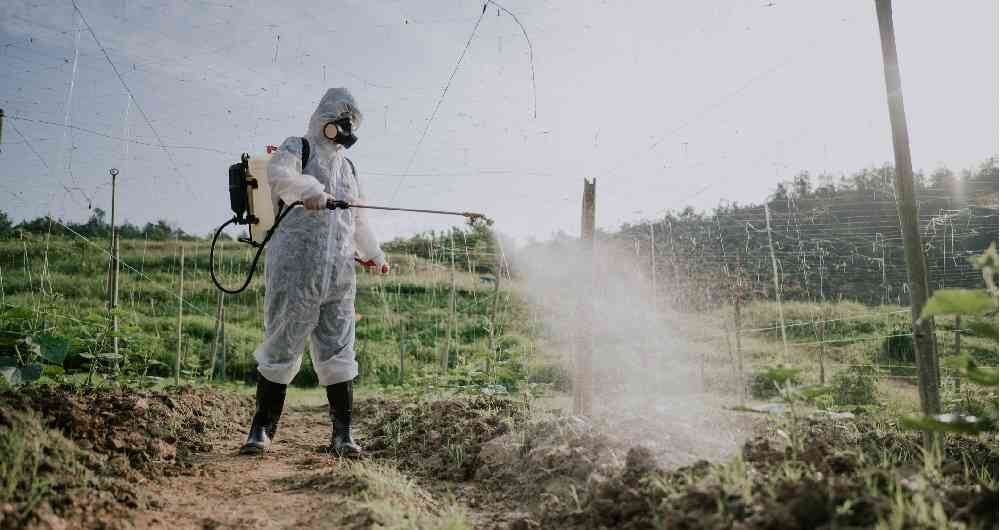 "Reactivar el programa de fumigación con glifosato representa un peligro para los cultivos y la biodiversidad de la región: Carlos Ardila