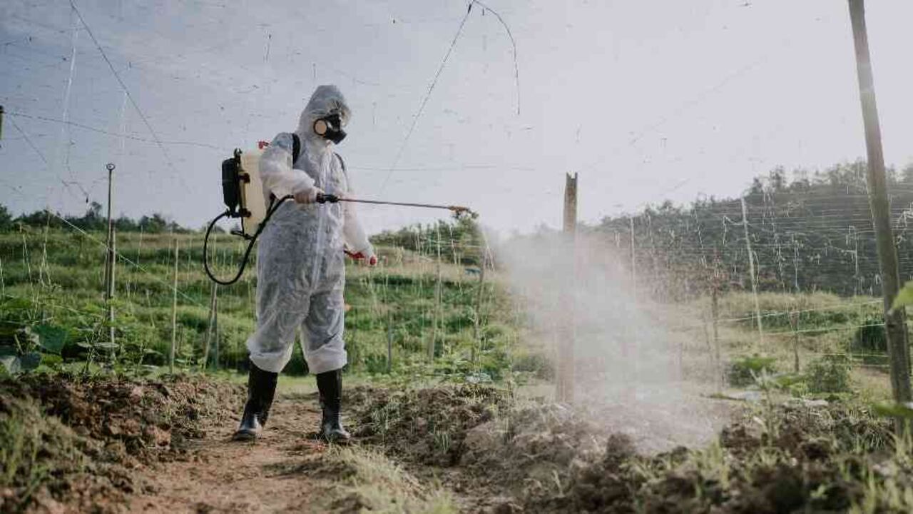 Las organizaciones sociales firmaron una declaración de rechazo que puntualizó fuertes críticas al procedimiento y a los contenidos del Plan de Manejo Ambiental contratado por la Policía Nacional..