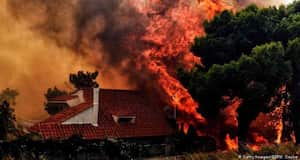 La devastación por los incendios ha ido en aumento.