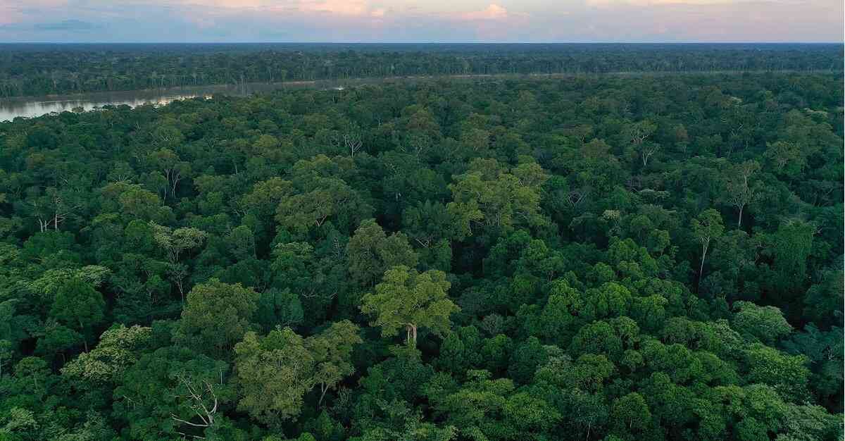 El detonante del fin del mundo sería el uso insostenible de recursos naturales. 