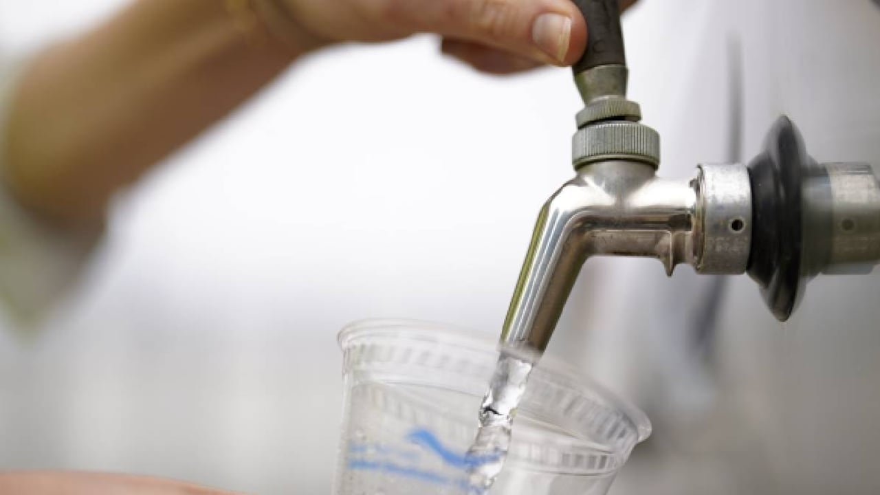 Una de las principales medidas para afrontar la sequía en California es la limitación de los días de riego de los jardines.