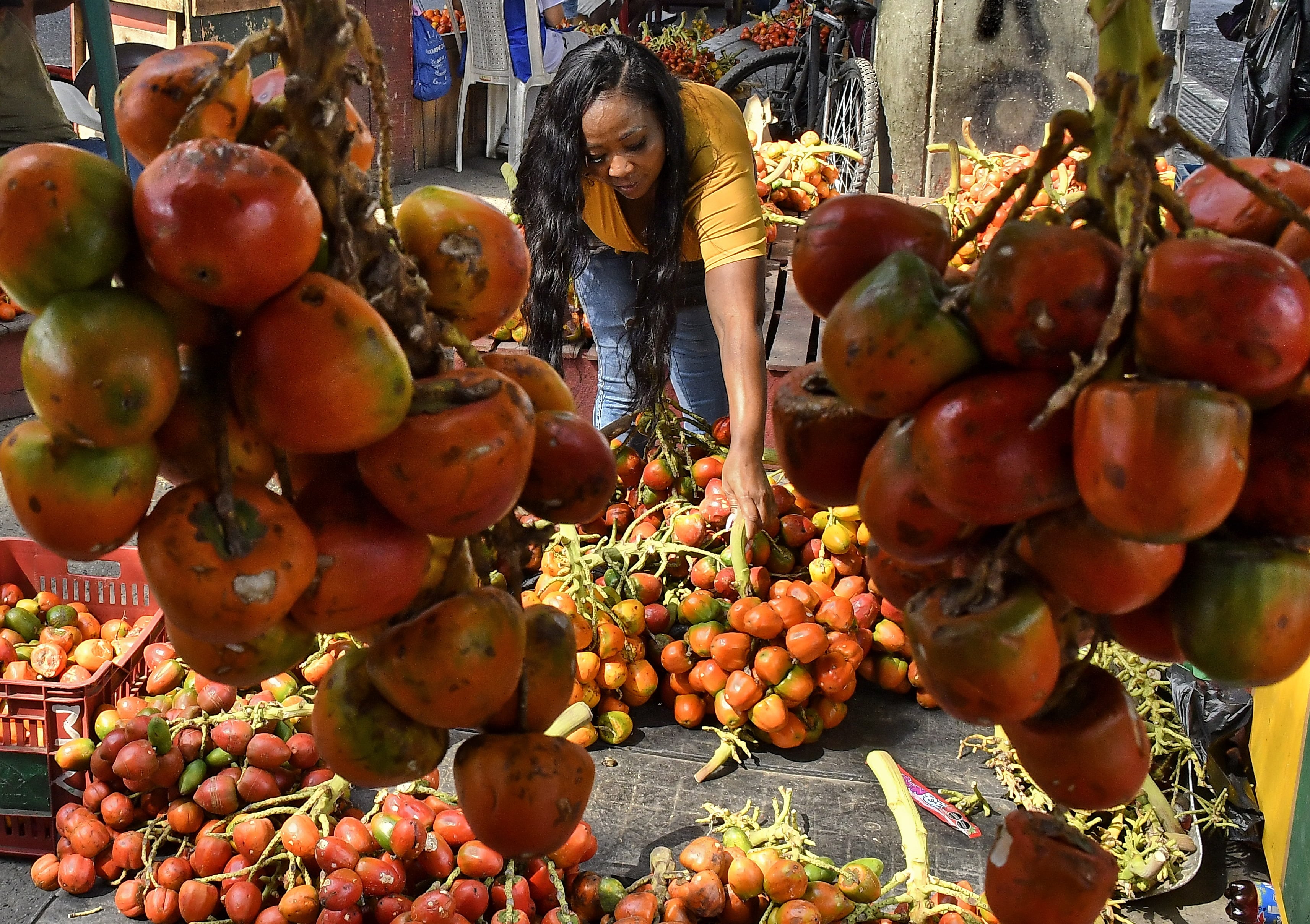 Comienza la fecha de la cosecha de chontaduro en Cali