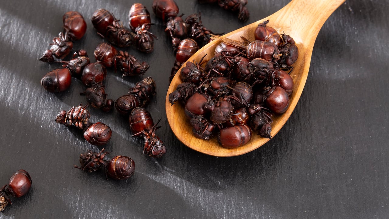 La gastronomía de Santander es una fusión de sabores únicos y tradiciones ancestrales.