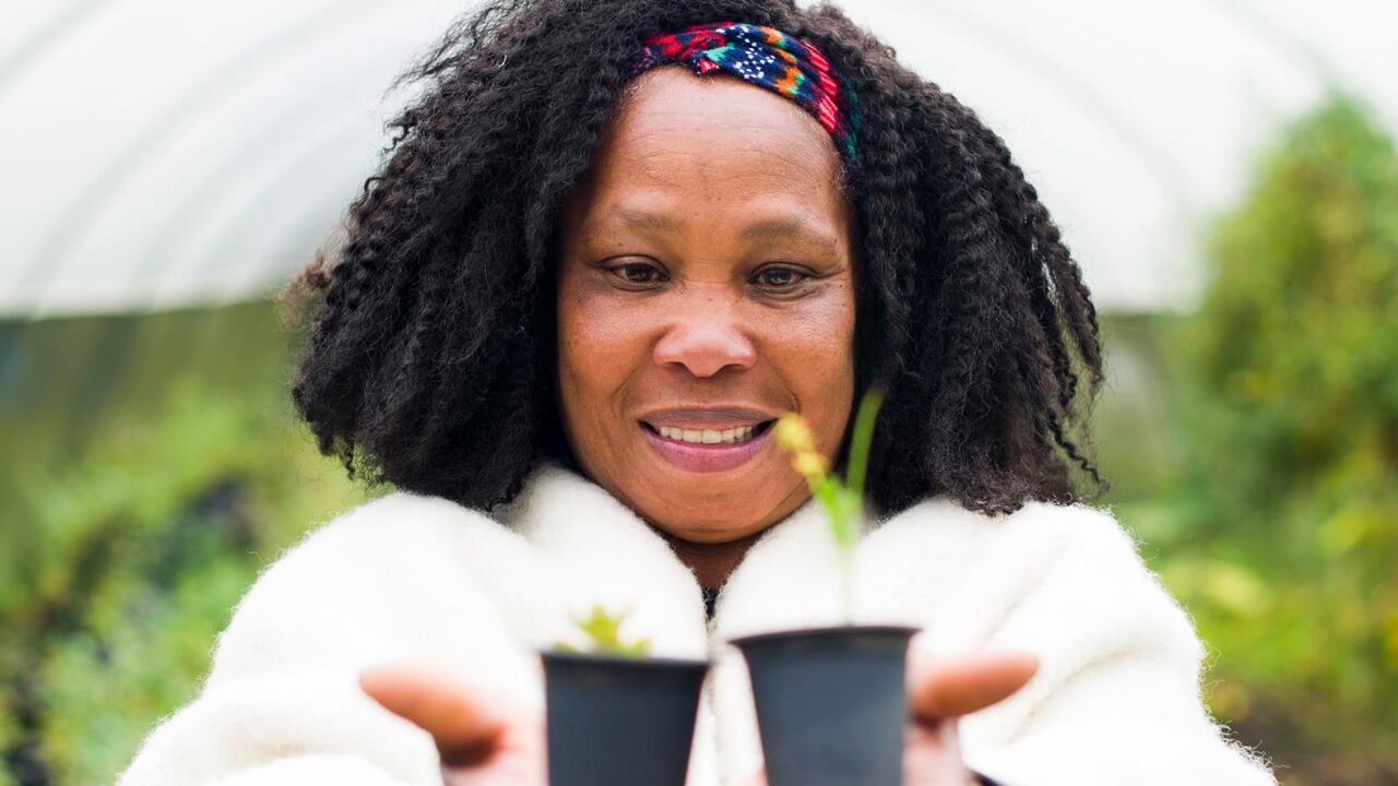 Ninguna de las organizaciones trabajará de manera aislada es sus territorios. Será una labor articulada con otras iniciativas de su departamento y de otras regiones del país.