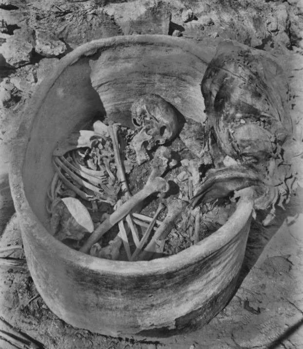 El ADN analizado evidenció vínculos biológicos más allá de las fronteras africanas.