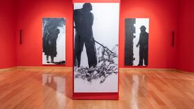 La exposición hace parte de la celebración del Mes de la Francofonía, y estará abierta al público hasta el 16 de mayo.