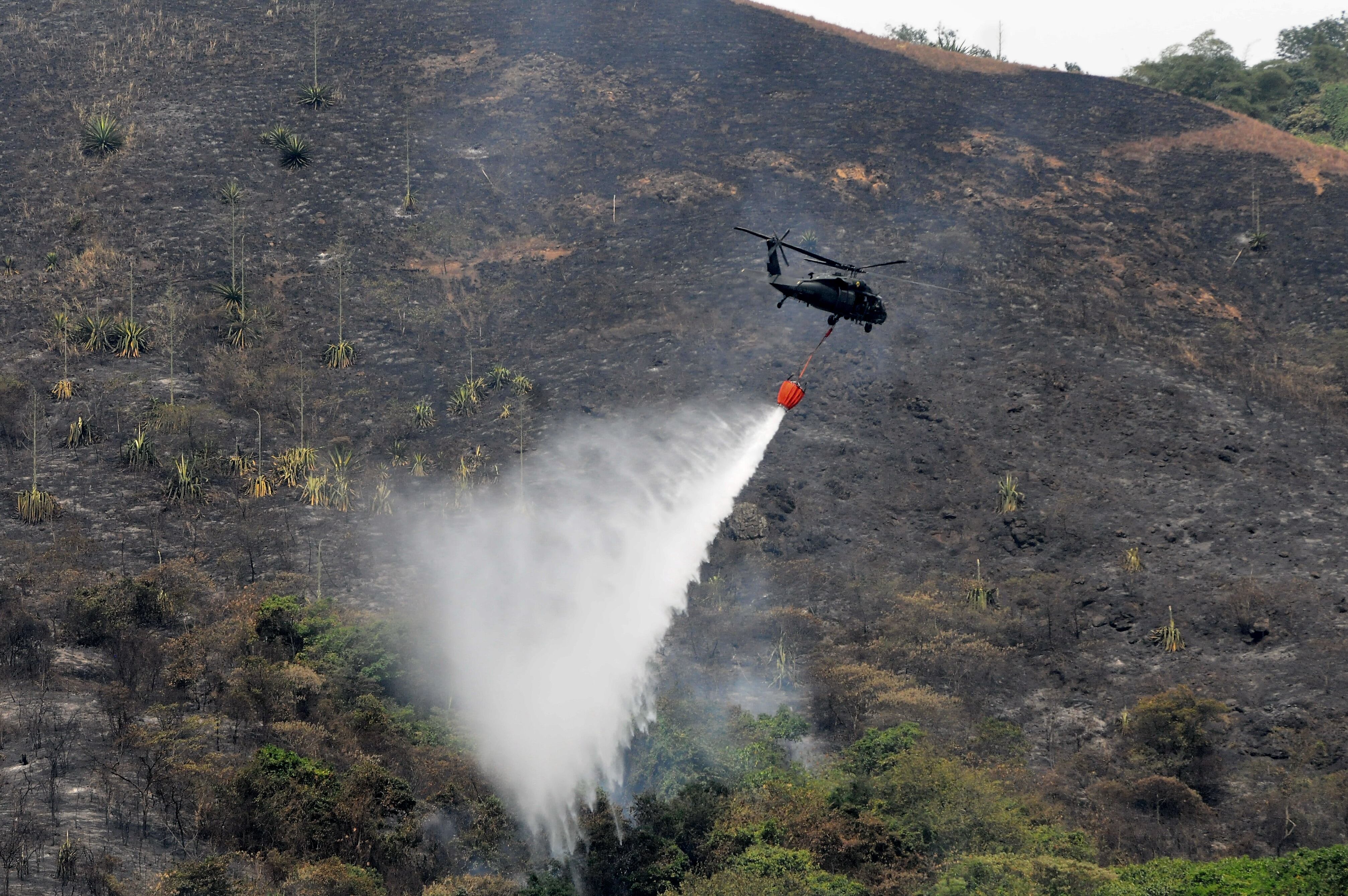 Cali: Varias familias afectadas y una gran extensión de montaña incineradas deja como resultado el incendio presentado en la zona alto de Menga, la campiña y barrios aledaños. Los operativos de control de los focos aún persistente continúan.