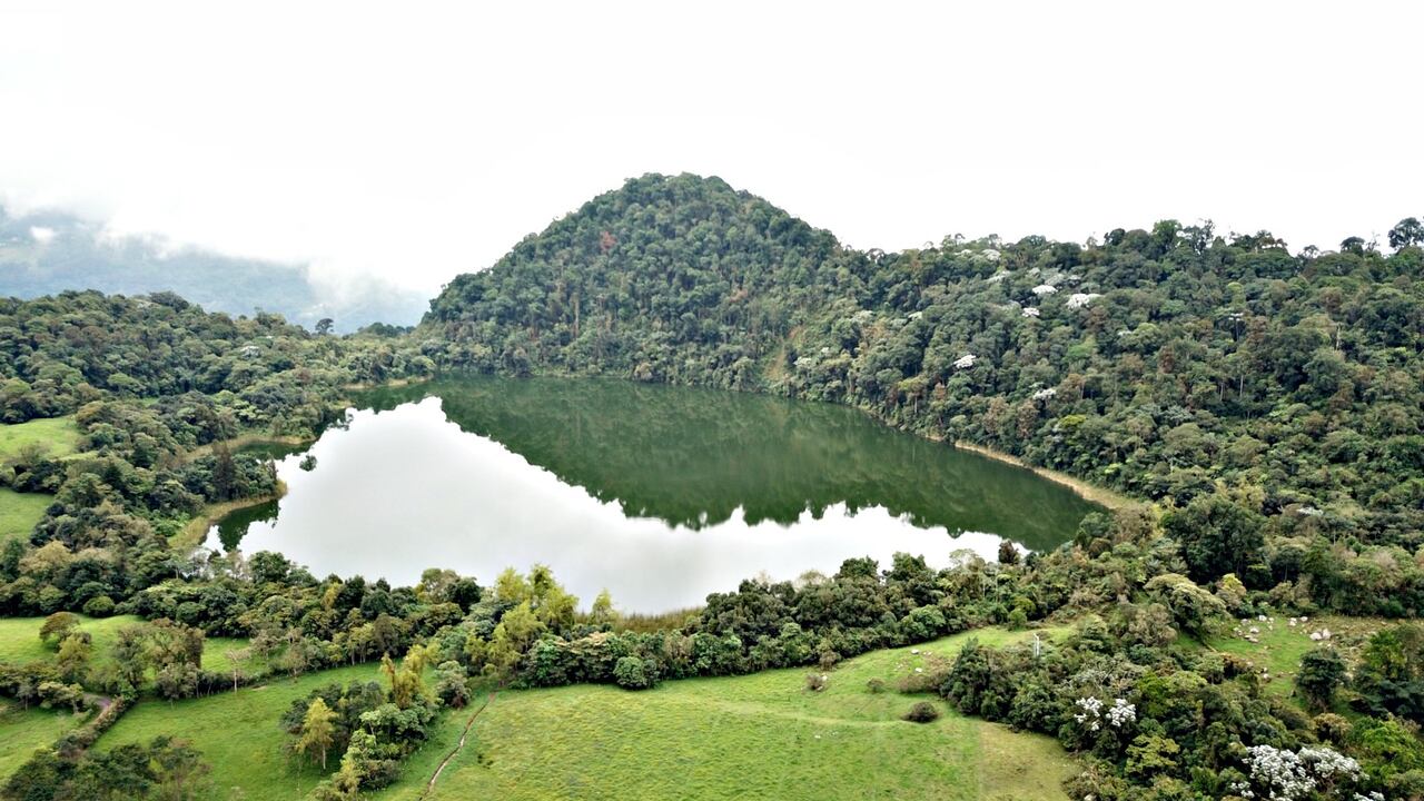 La laguna de Pedro Palo es una de las joyas ambientales de la cuenca baja del río Bogotá