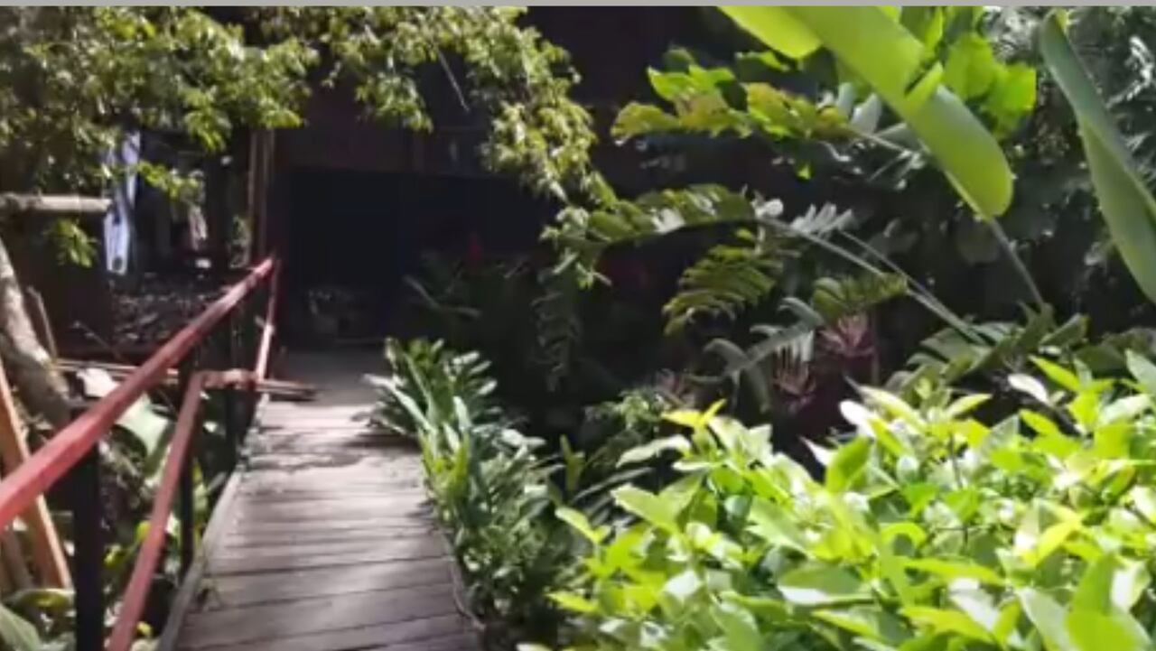 Puerto Nariño, uno de los puntos de donde parte la aventura fluvial de Colombia