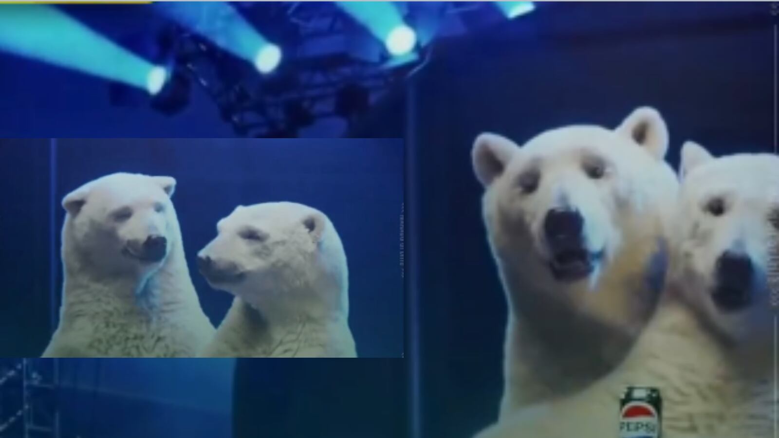 El oso polar protagoniza el nuevo comercial de Pepsi Zero Sugar, combinando humor e ingenio para el Super Bowl 2026.
