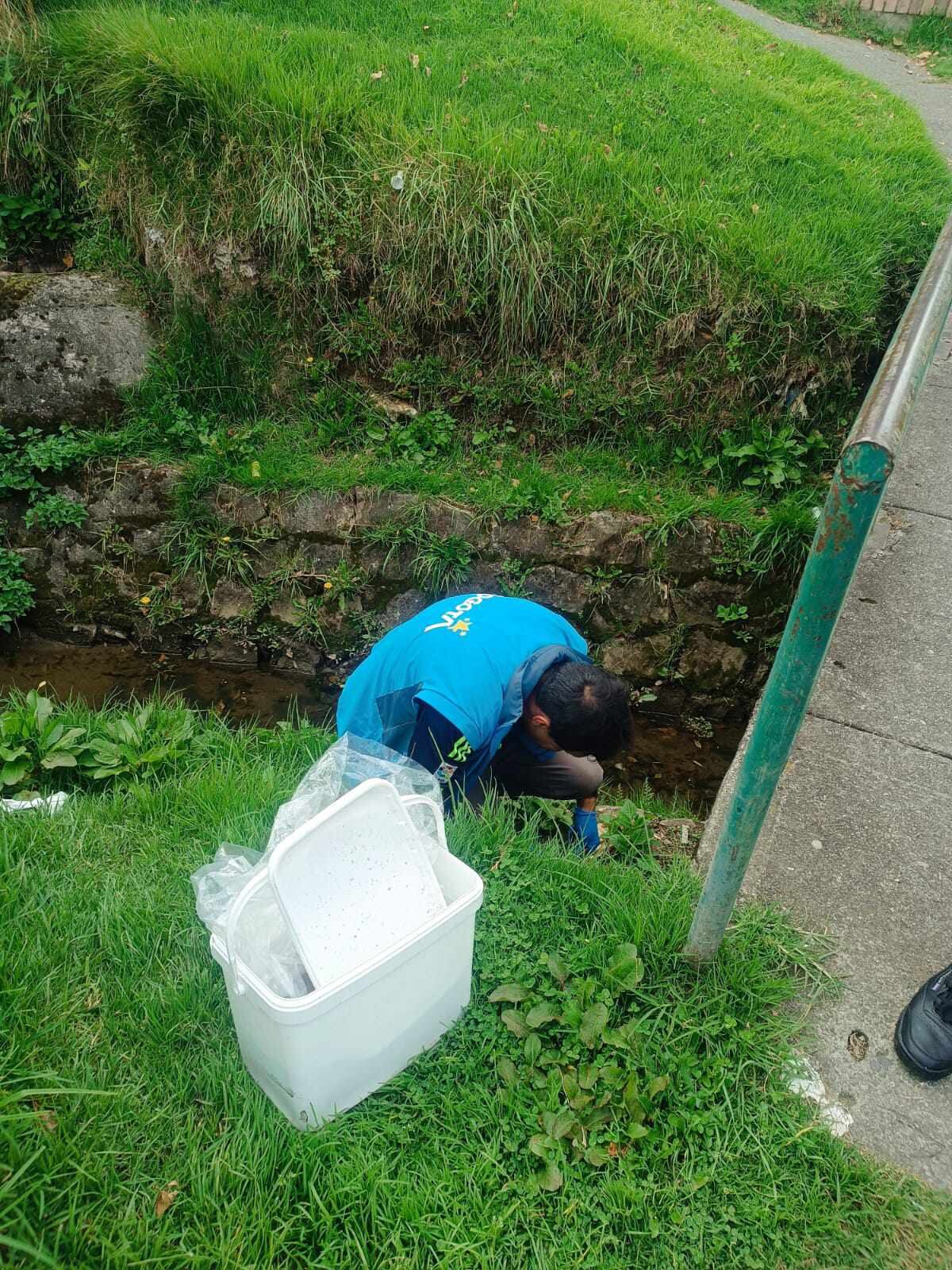 Medidas de prevención frente a la leptospirosis