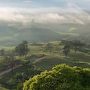 Camino de tierra en un paisaje colombiano al amanecer con niebla entre las montañas al fondo.
