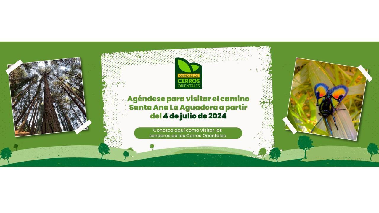 Reabren uno de los senderos más populares de los cerros orientales de Bogotá: así es posible agendar la visita